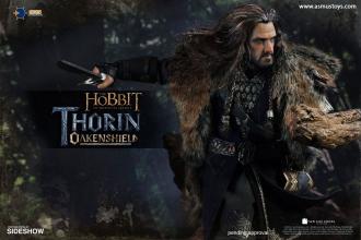 The Hobbit Action Figure 1/6 Thorin Oakenshield 25 cm