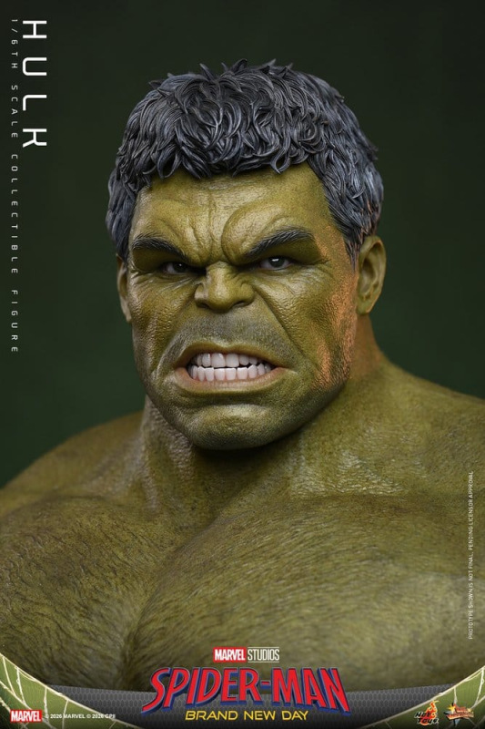 Marvel Action Figure 1/6 Hulk 51 cm 3