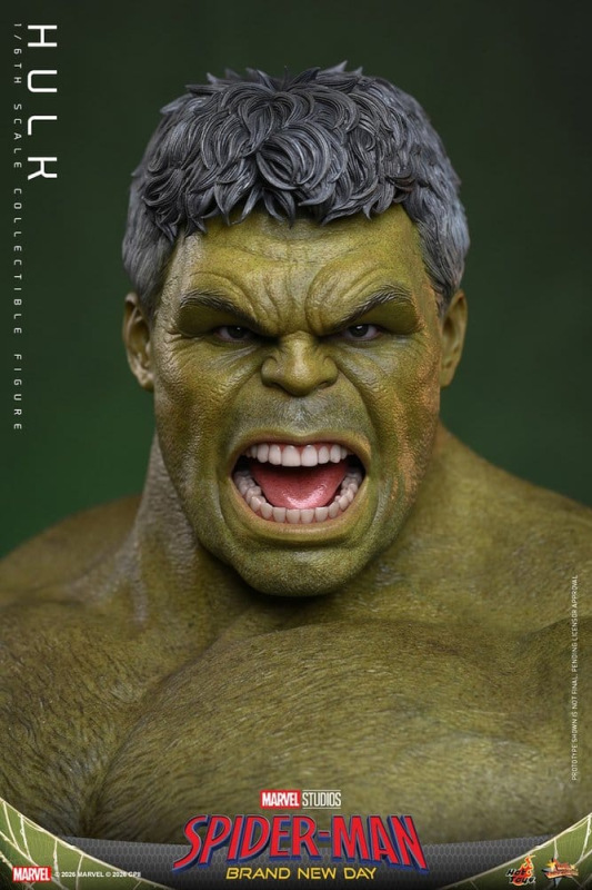 Marvel Action Figure 1/6 Hulk 51 cm 4