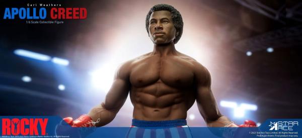 Rocky Statue 1/6 Apollo Creed Deluxe Version 36 cm