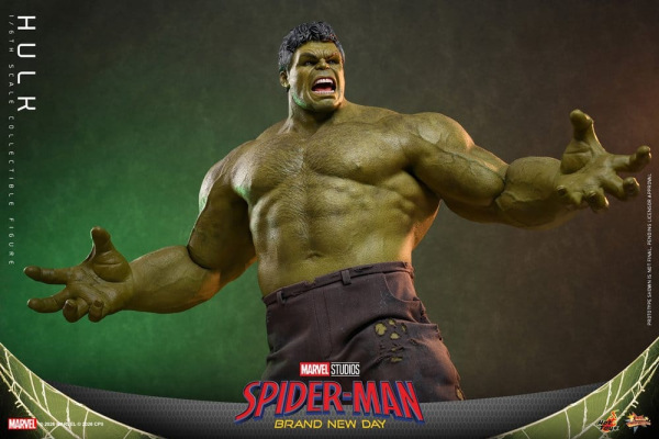 Marvel Action Figure 1/6 Hulk 51 cm 11