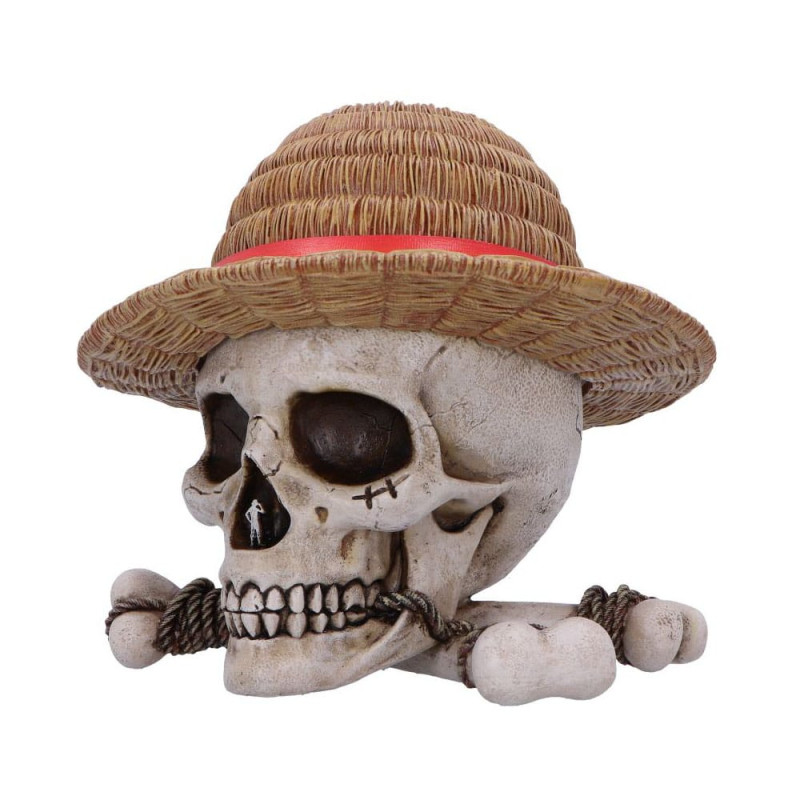 One Piece Storage Box Luffy Jolly Roger 1