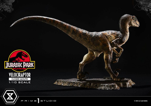 Jurassic Park Prime Collectibles Statue 1/10 Velociraptor Closed Mouth 19 cm 5