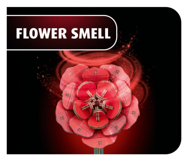 Revell Flowers Wooden Flowers Dream of Roses 22 cm 1