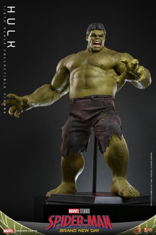 Marvel Action Figure 1/6 Hulk 51 cm 14