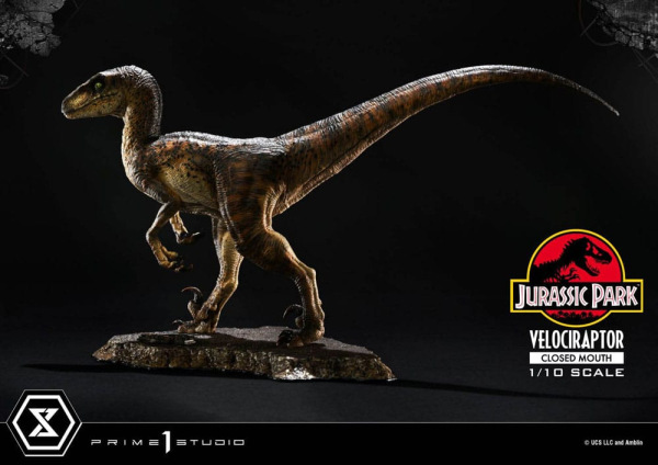 Jurassic Park Prime Collectibles Statue 1/10 Velociraptor Closed Mouth 19 cm 3
