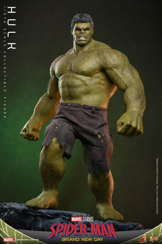 Marvel Action Figure 1/6 Hulk 51 cm 13