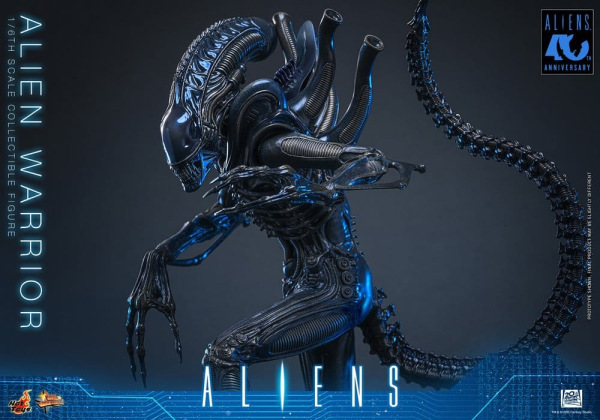 Alien Movie Masterpiece Action Figure 1/6 Alien Warrior 39 cm 4