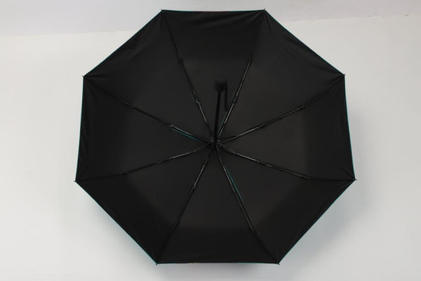 The Apothecary Diaries Umbrella 5