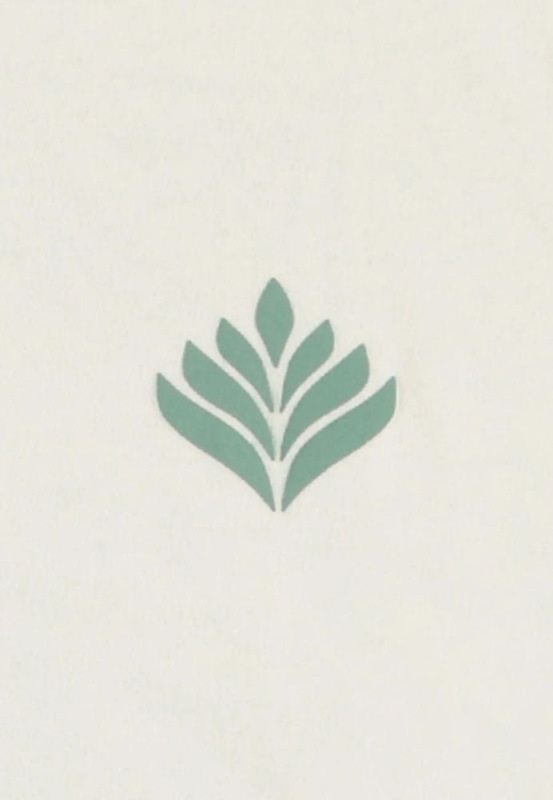 Pokémon Tank Top Bulbasaur Size M 2