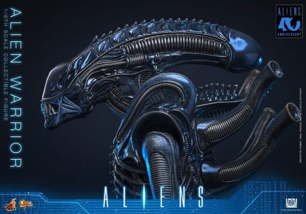 Alien Movie Masterpiece Action Figure 1/6 Alien Warrior 39 cm 9