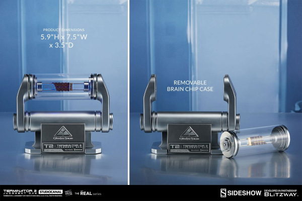 Terminator 2 The Real Replica 1/1 T-800 Endoskeleton Arm & Brain Chip Set 3