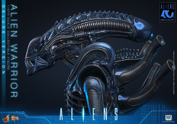 Alien Movie Masterpiece Action Figure 1/6 Alien Warrior (Deluxe Version) 39 cm 9