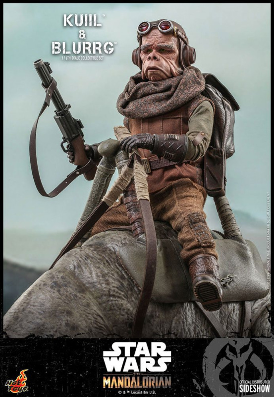 Star Wars The Mandalorian Action Figure 2-Pack 1/6 Kuiil & Blurrg 37 cm 8