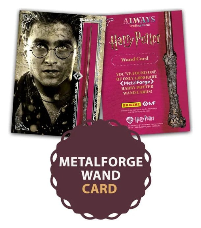 Harry Potter Premium Treasure Box 1