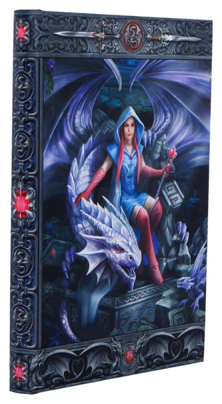 Anne Stokes Journal Dragon Mage A5 18 cm 3