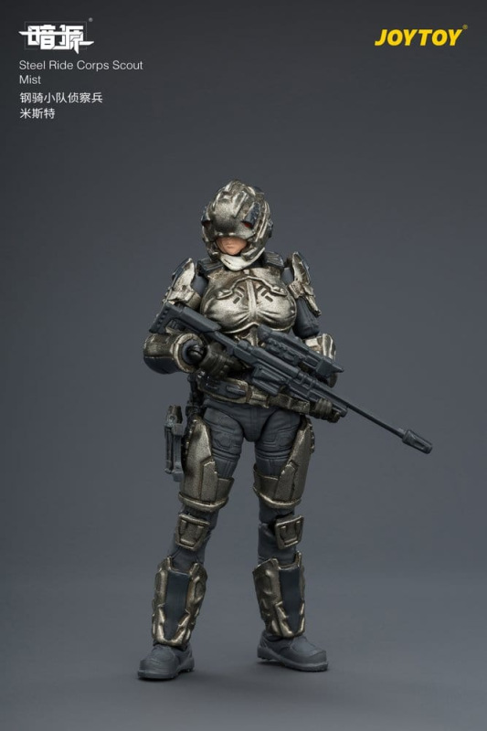 Dark Source Steel Ride Corps Action Figure Scout Mist 8 cm 11