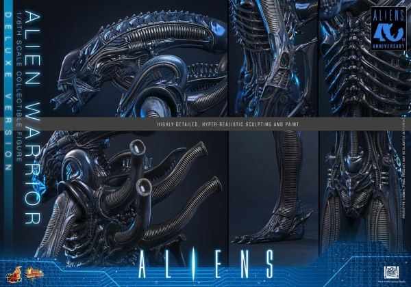 Alien Movie Masterpiece Action Figure 1/6 Alien Warrior (Deluxe Version) 39 cm 11