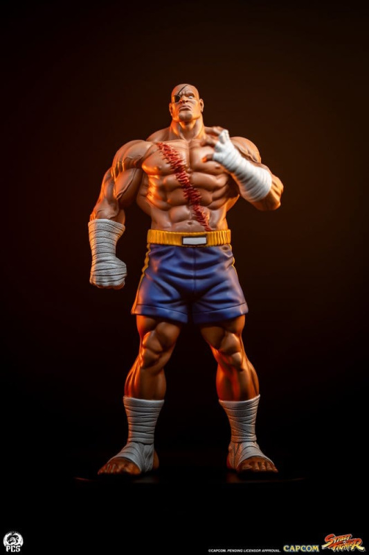 Street Fighter Street Jam Statuen 1/10 Sagat & Juli 24 cm 2