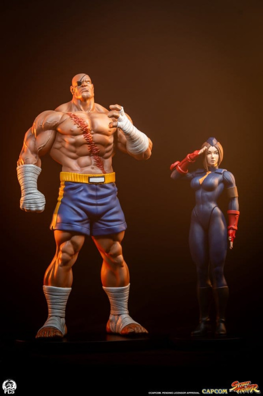 Street Fighter Street Jam Statuen 1/10 Sagat & Juli 24 cm 1