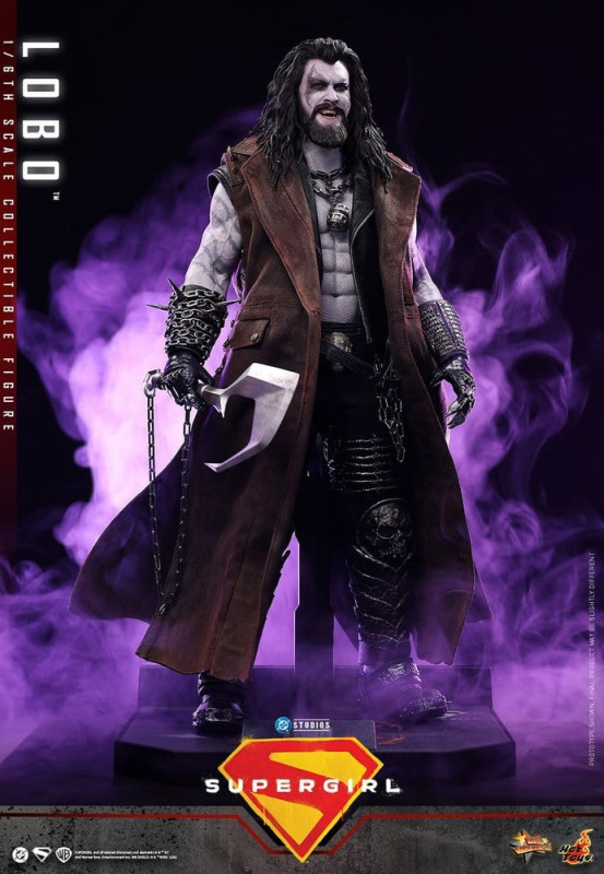 DC Comics Movie Masterpiece Action Figure 1/6 Lobo 33 cm 2