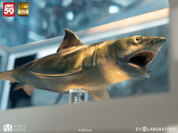 Jaws Maquette 1/18 Jaws Bronze 60 cm 3