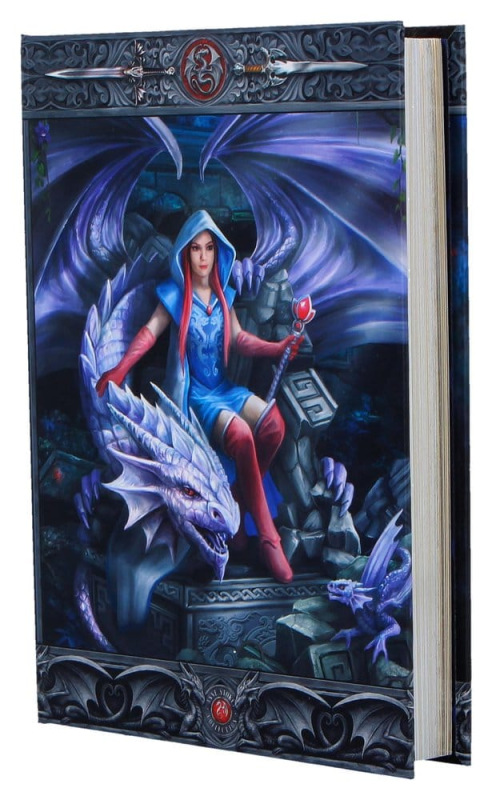 Anne Stokes Journal Dragon Mage A5 18 cm 1