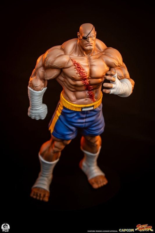 Street Fighter Street Jam Statuen 1/10 Sagat & Juli 24 cm 9
