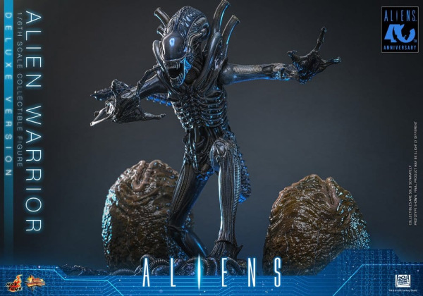 Alien Movie Masterpiece Action Figure 1/6 Alien Warrior (Deluxe Version) 39 cm 4