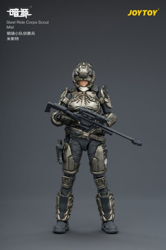 Dark Source Steel Ride Corps Action Figure Scout Mist 8 cm 10