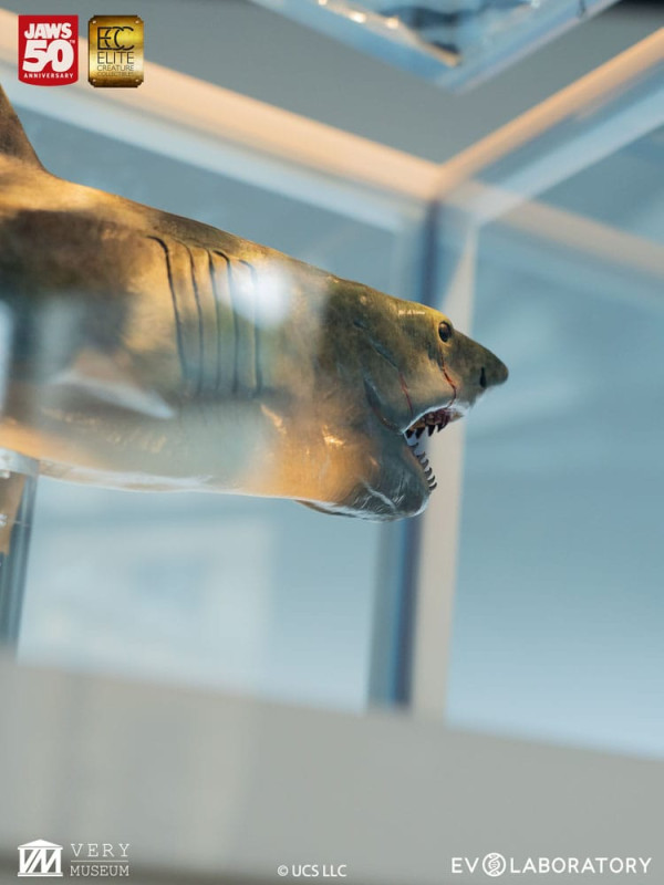 Jaws Maquette 1/18 Jaws Bronze 60 cm 12