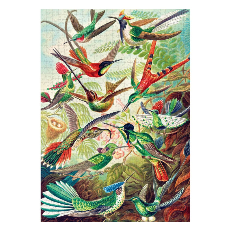 Ernst Haeckel Imagination Puzzle Hummingbirds/Kolibry (1000 pieces) 2