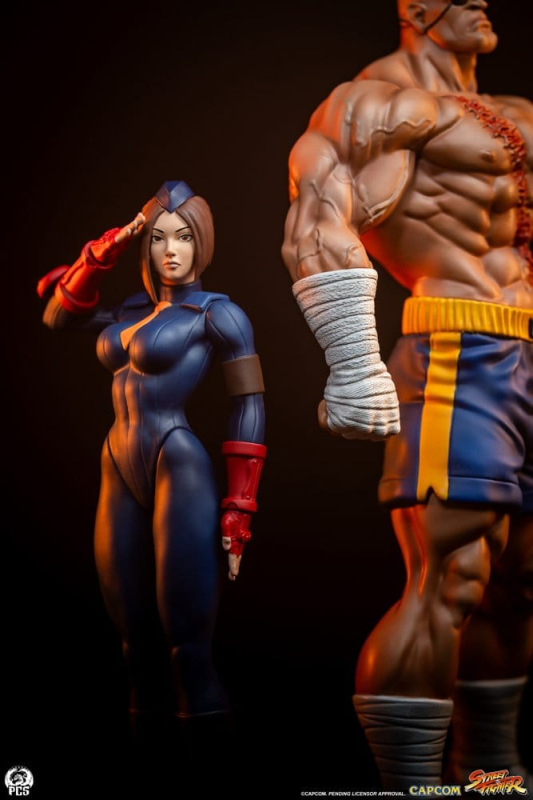 Street Fighter Street Jam Statuen 1/10 Sagat & Juli 24 cm 6