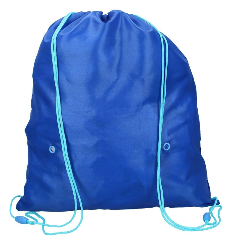 PAW Patrol Gym Bag Puptastic Days 44 cm 3