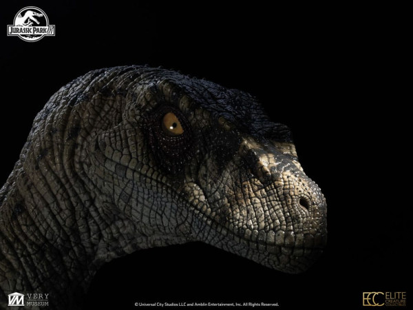 Jurassic Park III Bust Female Velociraptor White Queen 75 cm 13