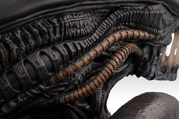 Alien Romulus Bust 1/1 Xenomorph 53 cm 5