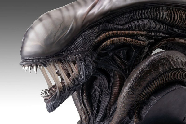 Alien Romulus Bust 1/1 Xenomorph 53 cm 1