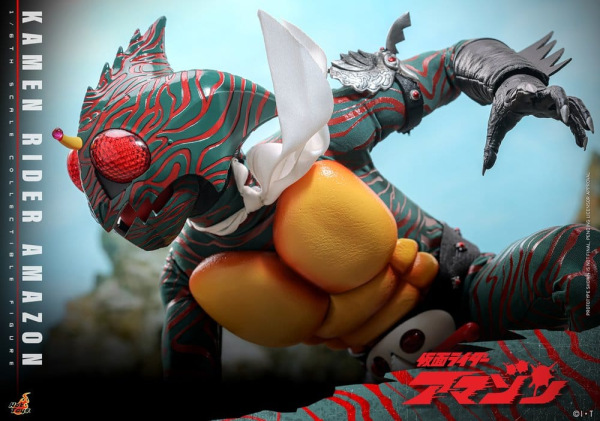 Kamen Rider Amazon 1/6 Amazon (Daisuke Yamamoto) 30 cm 9