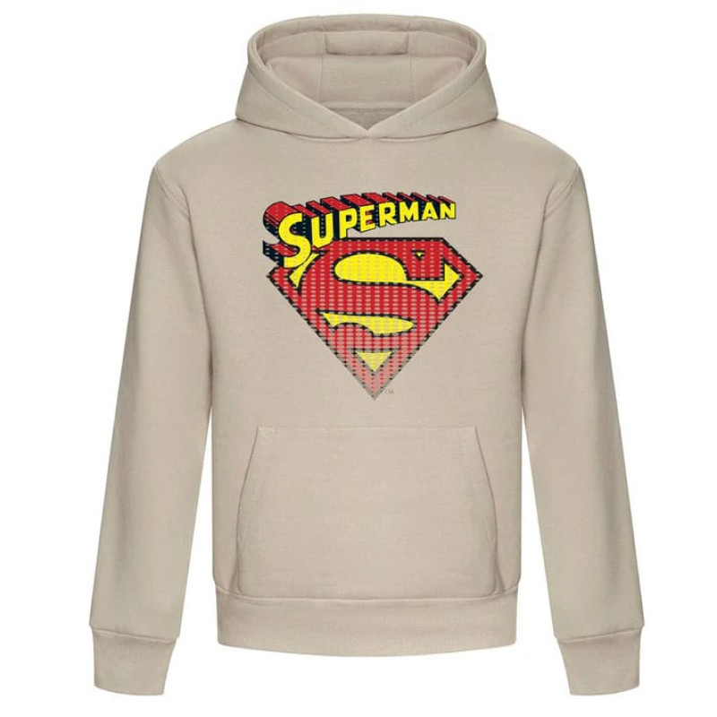 DC Comics Hooded Sweater Superman Classic Logo Size M