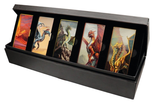 Dungeons & Dragons Ingot Set Magnet Warrior Limited Edition 3