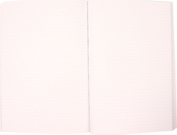Back to the Future Premium Notebook Sports Almanac 2
