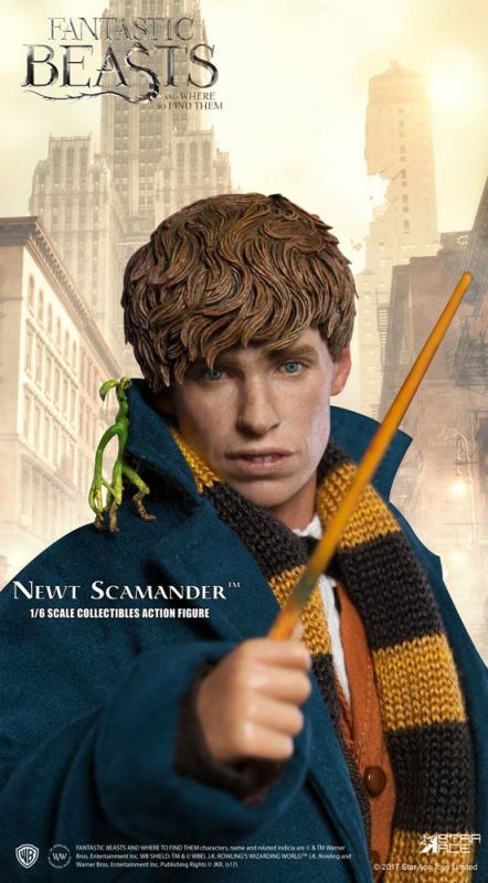 Fantastic Beasts My Favourite Movie Action Figure 1/6 Newt Scamander Grey Coat Ver. 30 cm 1