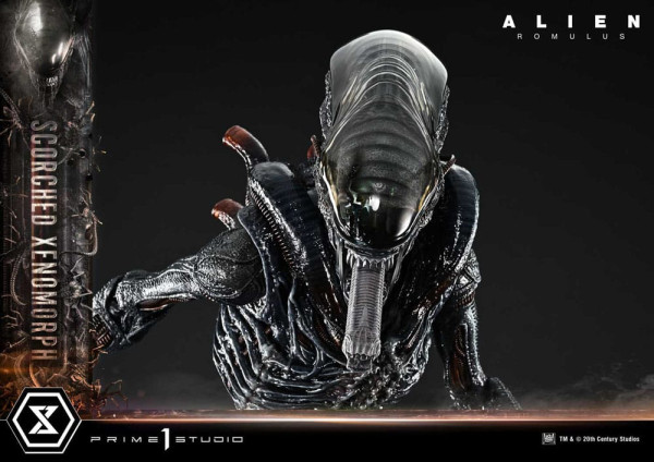 Alien: Romulus Museum Masterline XL Statue 1/3 Scorched Xenomorph 98 cm 12