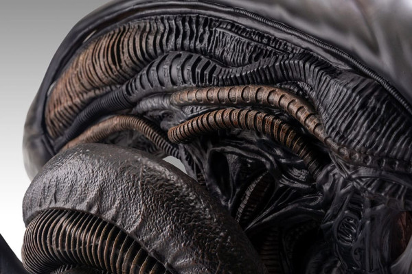 Alien Romulus Bust 1/1 Xenomorph 53 cm 3