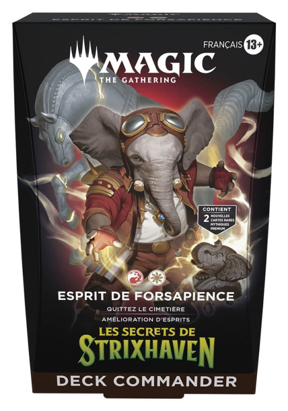 Magic the Gathering Les secrets de Strixhaven Commander Decks Case (5) french 11