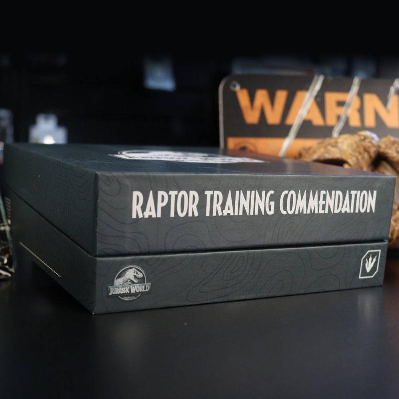 Jurassic World Pin Badge 3-Pack Raptor Training Commendation Limited Edition