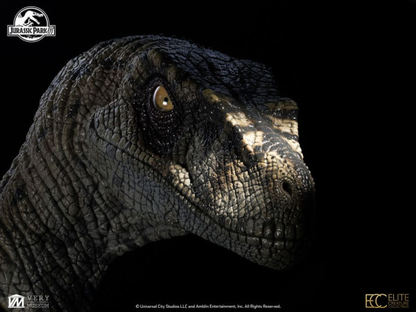 Jurassic Park III Bust Female Velociraptor White Queen 75 cm 14