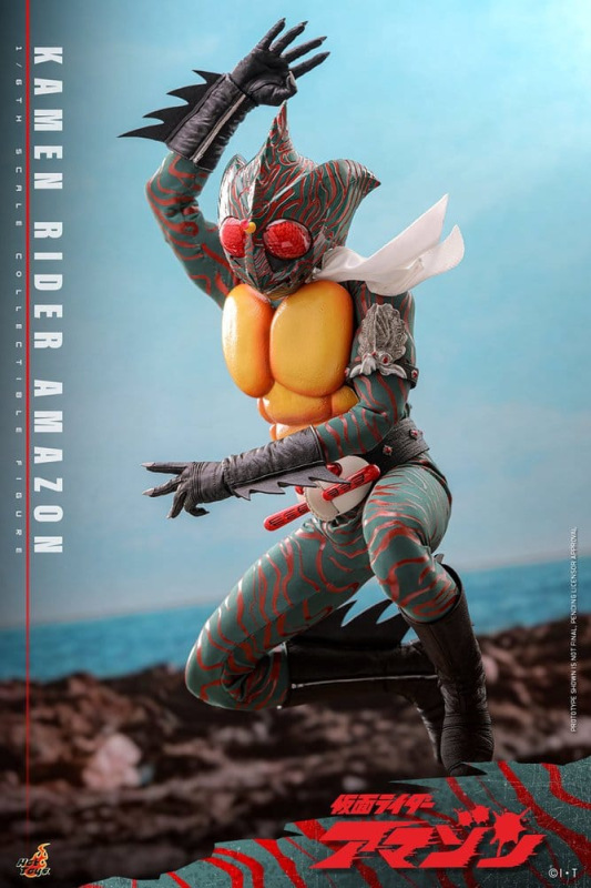 Kamen Rider Amazon 1/6 Amazon (Daisuke Yamamoto) 30 cm 11