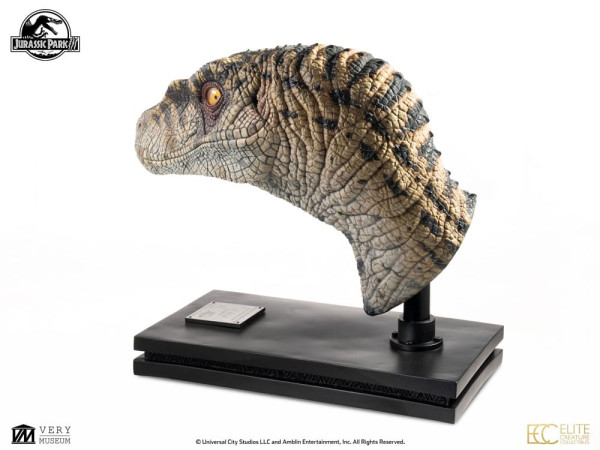 Jurassic Park III Bust Female Velociraptor White Queen 75 cm 5