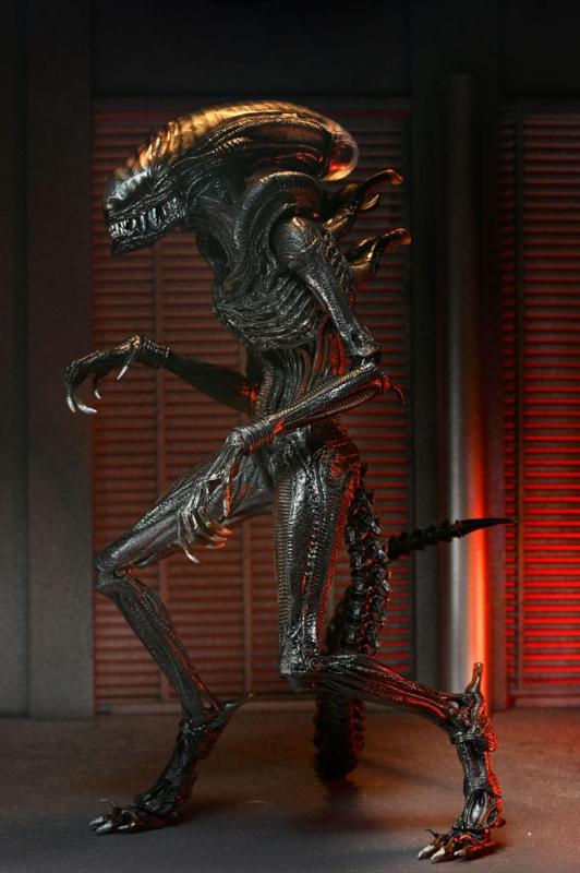 Alien: Romulus Ultimate Action Figure Scorched Xenomorph 18 cm